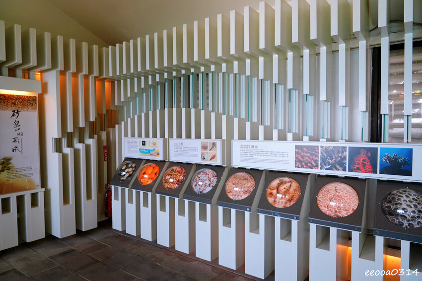 美到像在國外度假「砂島生態保護區」,墾丁最純淨貝殼砂沙灘! 美到像在國外度假「砂島生態保護區」,墾丁最純淨貝殼砂沙灘!