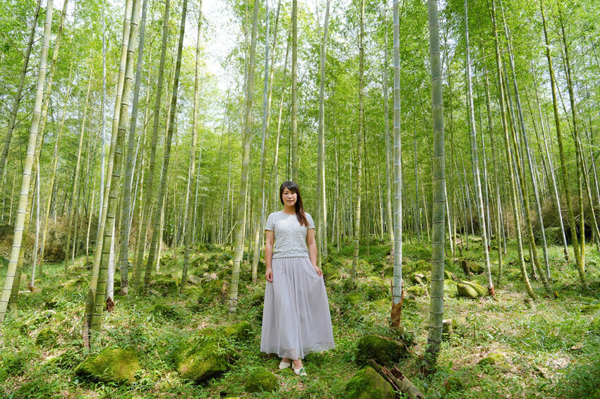南投鹿谷「竹林秘境」,轉個身遇見拍片場景,溪頭妖怪村順遊景點
