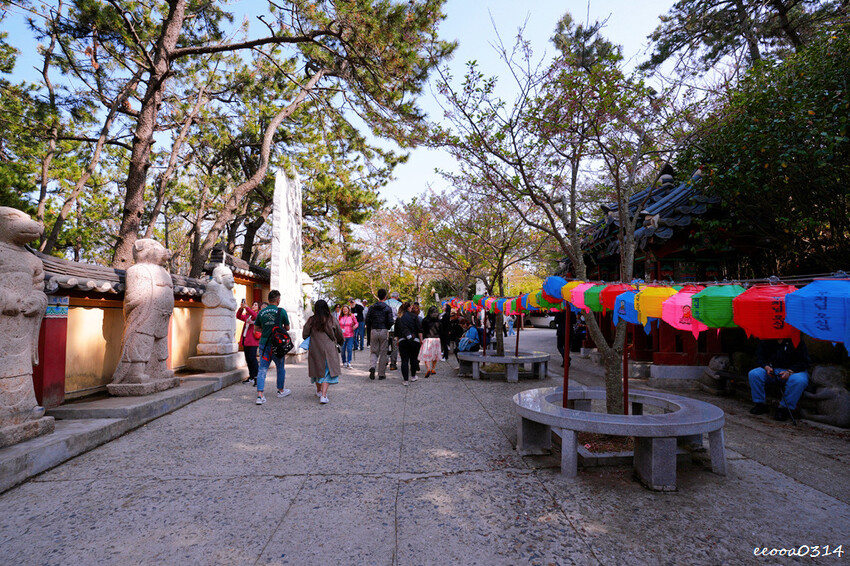 釜山旅遊「海東龍宮寺」,坐擁釜山無敵海景韓國最美寺廟,釜山景 釜山旅遊「海東龍宮寺」,坐擁釜山無敵海景韓國最美寺廟,釜山景
