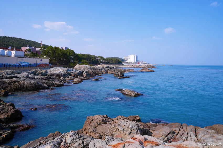 釜山旅遊「海東龍宮寺」,坐擁釜山無敵海景韓國最美寺廟,釜山景 釜山旅遊「海東龍宮寺」,坐擁釜山無敵海景韓國最美寺廟,釜山景