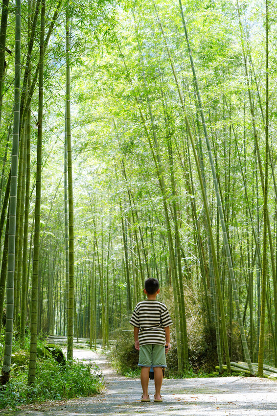 南投鹿谷「竹林秘境」,轉個身遇見拍片場景,溪頭妖怪村順遊景點