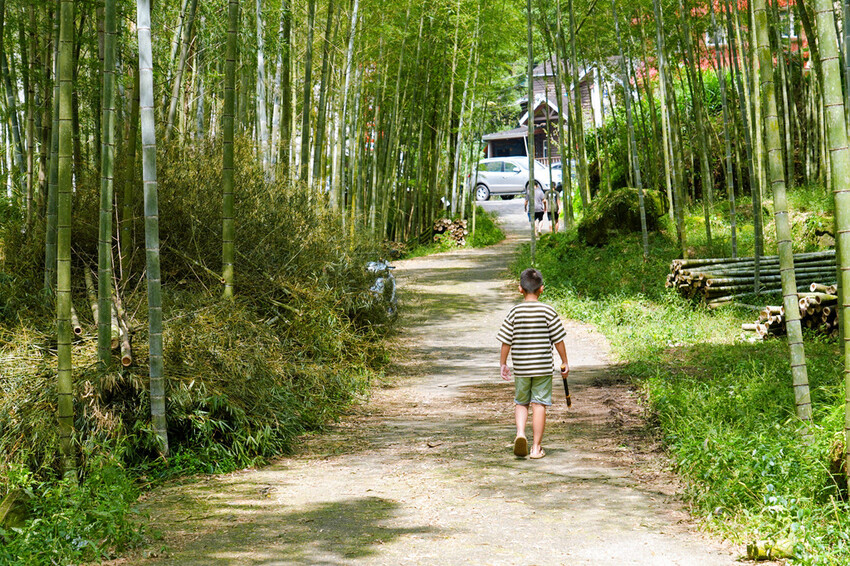 南投鹿谷「竹林秘境」,轉個身遇見拍片場景,溪頭妖怪村順遊景點