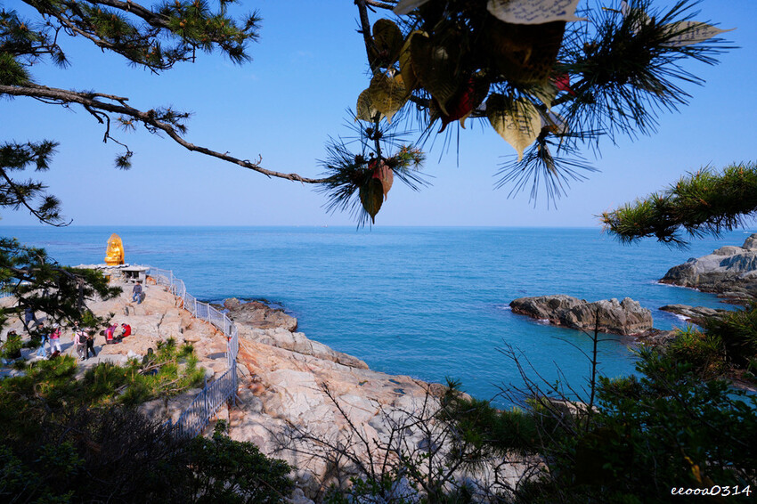 釜山旅遊「海東龍宮寺」,坐擁釜山無敵海景韓國最美寺廟,釜山景 釜山旅遊「海東龍宮寺」,坐擁釜山無敵海景韓國最美寺廟,釜山景