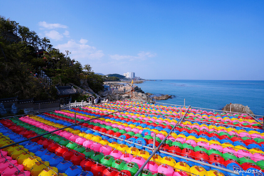 釜山旅遊「海東龍宮寺」,坐擁釜山無敵海景韓國最美寺廟,釜山景 釜山旅遊「海東龍宮寺」,坐擁釜山無敵海景韓國最美寺廟,釜山景