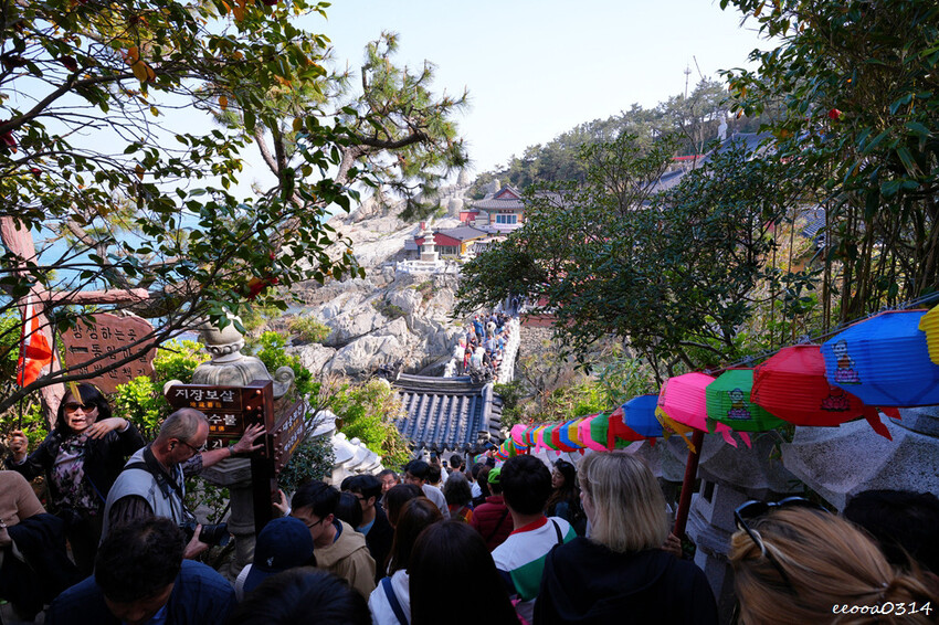 釜山旅遊「海東龍宮寺」,坐擁釜山無敵海景韓國最美寺廟,釜山景 釜山旅遊「海東龍宮寺」,坐擁釜山無敵海景韓國最美寺廟,釜山景