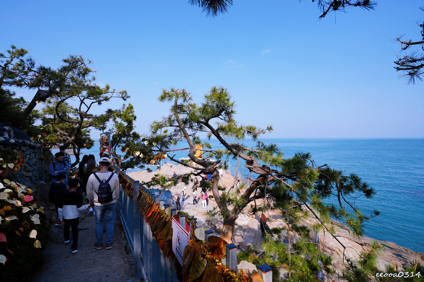 釜山旅遊「海東龍宮寺」,坐擁釜山無敵海景韓國最美寺廟,釜山景 釜山旅遊「海東龍宮寺」,坐擁釜山無敵海景韓國最美寺廟,釜山景