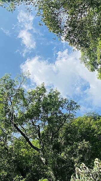 IMG_8985.jpg IMG_8985.jpg