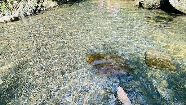 IMG_8983 (1).jpg IMG_8983 (1).jpg