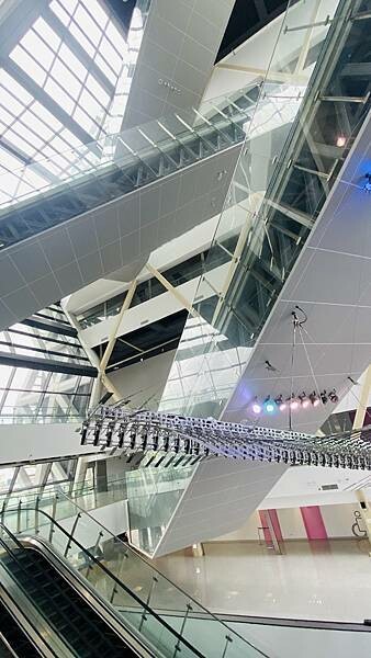 IMG_6436.jpg IMG_6436.jpg