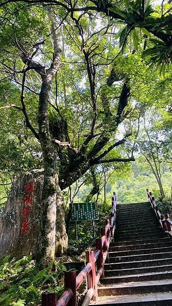 IMG_8942 (1).jpg IMG_8942 (1).jpg