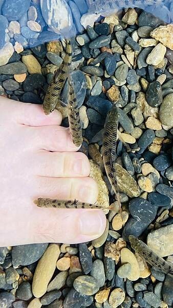 IMG_8965 (1).jpg IMG_8965 (1).jpg