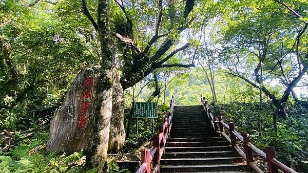 IMG_8943 (1).jpg IMG_8943 (1).jpg