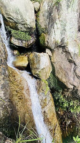 IMG_8951 (1).jpg IMG_8951 (1).jpg