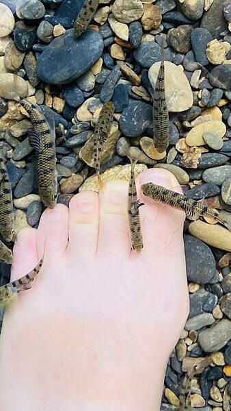 IMG_8964.jpg IMG_8964.jpg