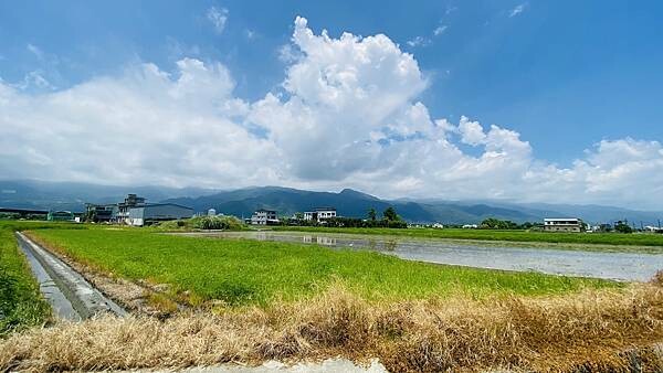 IMG_9137.jpg IMG_9137.jpg