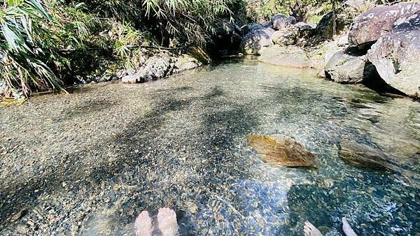 IMG_8978 (1).jpg IMG_8978 (1).jpg