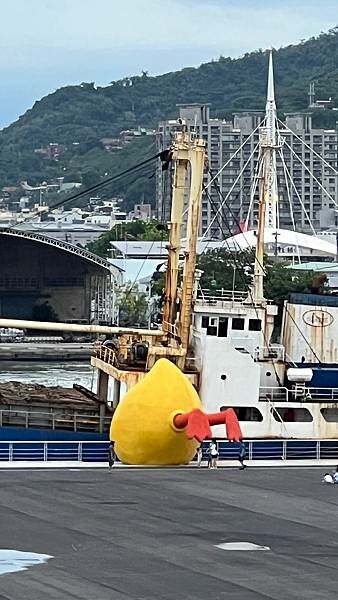 IMG_9988.JPG IMG_9988.JPG