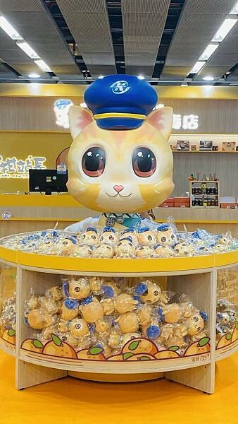 IMG_6011.jpg IMG_6011.jpg