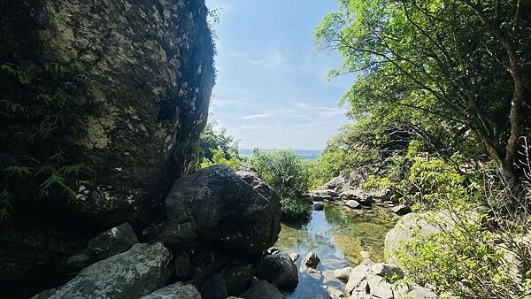 IMG_8981 (1).jpg IMG_8981 (1).jpg