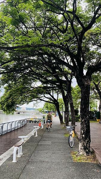 IMG_6352.jpg IMG_6352.jpg