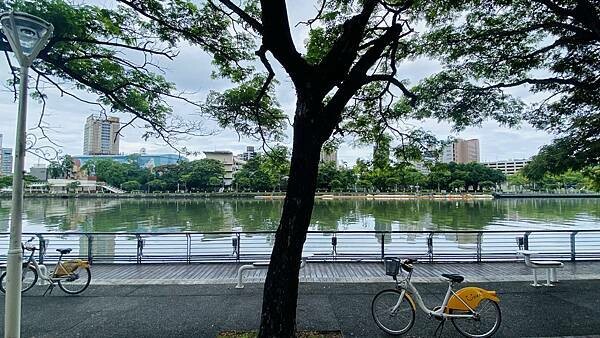 IMG_6368 (1).jpg IMG_6368 (1).jpg