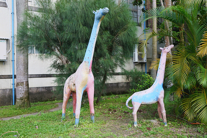 宜蘭縣宜蘭市宜蘭中山國小滑溜梯》5個遊戲區13道溜滑梯,大碗公溜滑梯、二層樓磨石子溜滑梯、帆船造型的溜滑梯、幼兒園