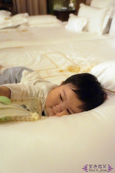 南投縣仁愛鄉南投清境老英格蘭莊園民宿》奢華古典歐洲城堡,清境霞飛音樂城堡小確幸旅行