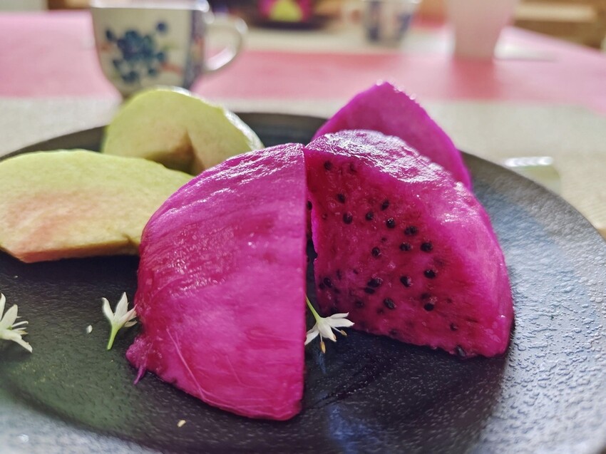 屏東牡丹鄉｜高士社區發展協會 高士部落 野牡丹神社紀念公園導