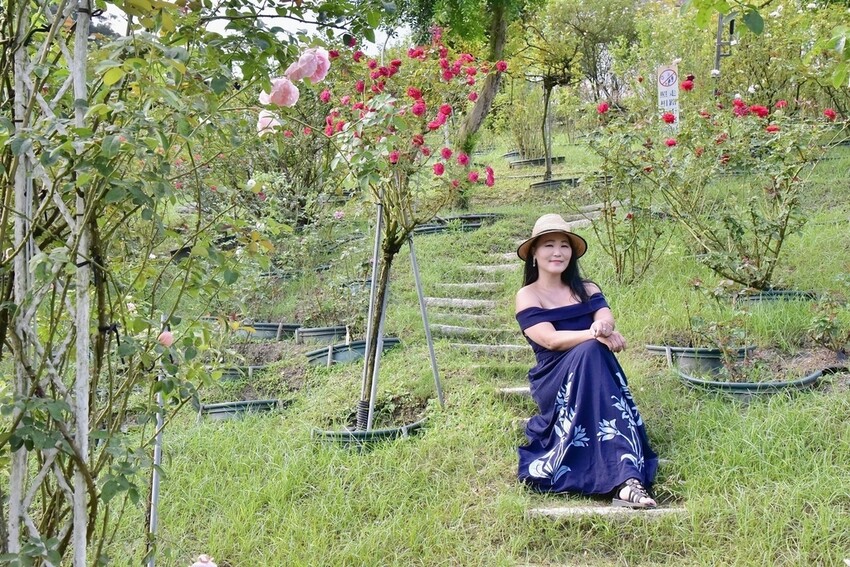 苗栗頭屋鄉|雅聞七里香玫瑰森林 依山型建造為主題的玫瑰花園 雅聞觀光工廠玫瑰季 全台五館免門票免費開放入園|西莉亞玩樂人生 苗栗頭屋鄉|雅聞七里香玫瑰森林 唯一 雅聞觀光工廠