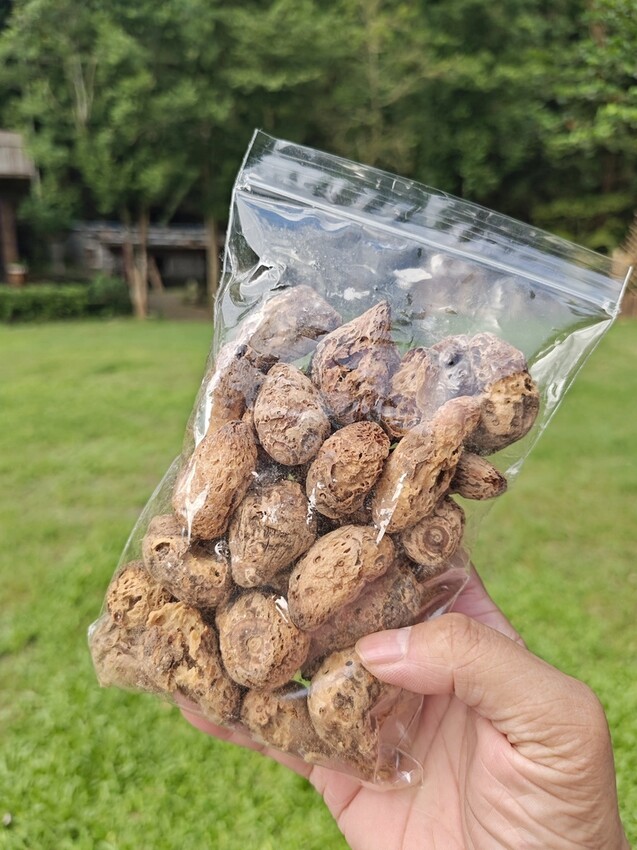 屏東來義鄉｜走讀二峰圳導覽 喜樂發發吾公園 手作體驗-排灣族