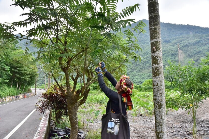 屏東來義鄉｜走讀二峰圳導覽 喜樂發發吾公園 手作體驗-排灣族