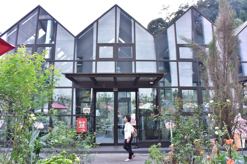 苗栗頭屋鄉|雅聞七里香玫瑰森林 依山型建造為主題的玫瑰花園 雅聞觀光工廠玫瑰季 全台五館免門票免費開放入園|西莉亞玩樂人生 苗栗頭屋鄉|雅聞七里香玫瑰森林 唯一 雅聞觀光工廠