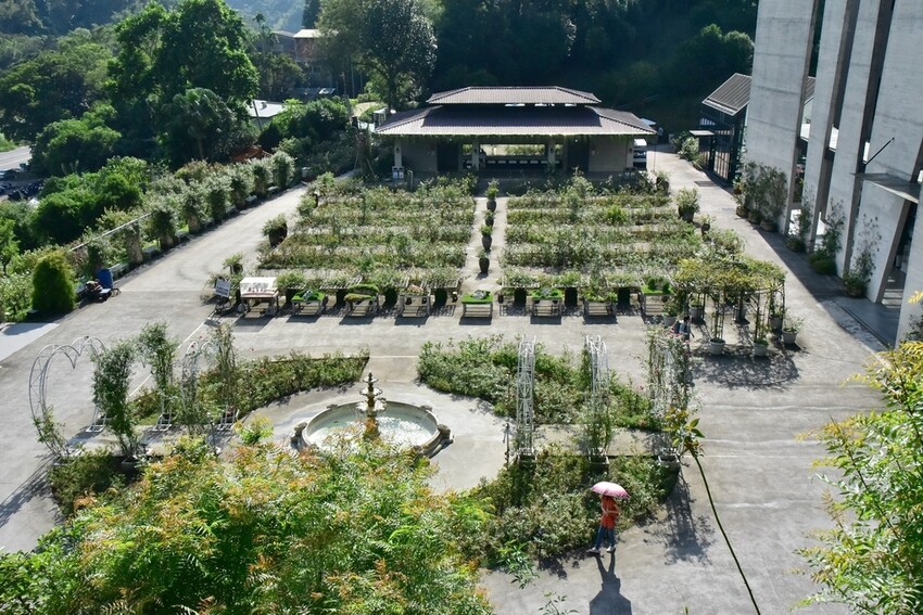 苗栗頭屋鄉|雅聞七里香玫瑰森林 依山型建造為主題的玫瑰花園 雅聞觀光工廠玫瑰季 全台五館免門票免費開放入園|西莉亞玩樂人生 苗栗頭屋鄉|雅聞七里香玫瑰森林 唯一 雅聞觀光工廠