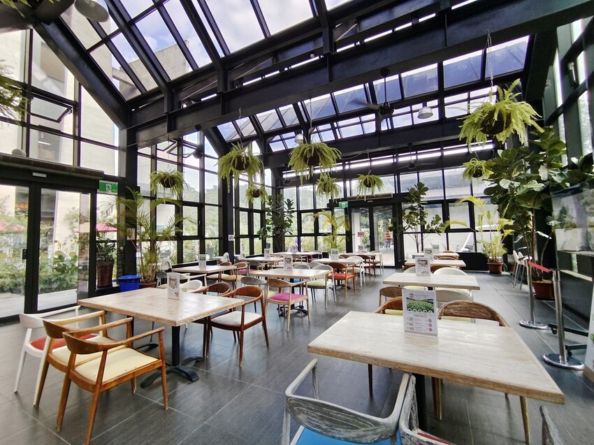 苗栗頭屋鄉|雅聞七里香玫瑰森林 依山型建造為主題的玫瑰花園 雅聞觀光工廠玫瑰季 全台五館免門票免費開放入園|西莉亞玩樂人生 苗栗頭屋鄉|雅聞七里香玫瑰森林 唯一 雅聞觀光工廠