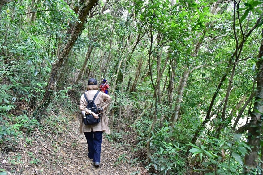 屏東牡丹鄉｜高士社區發展協會 高士部落 野牡丹神社紀念公園導
