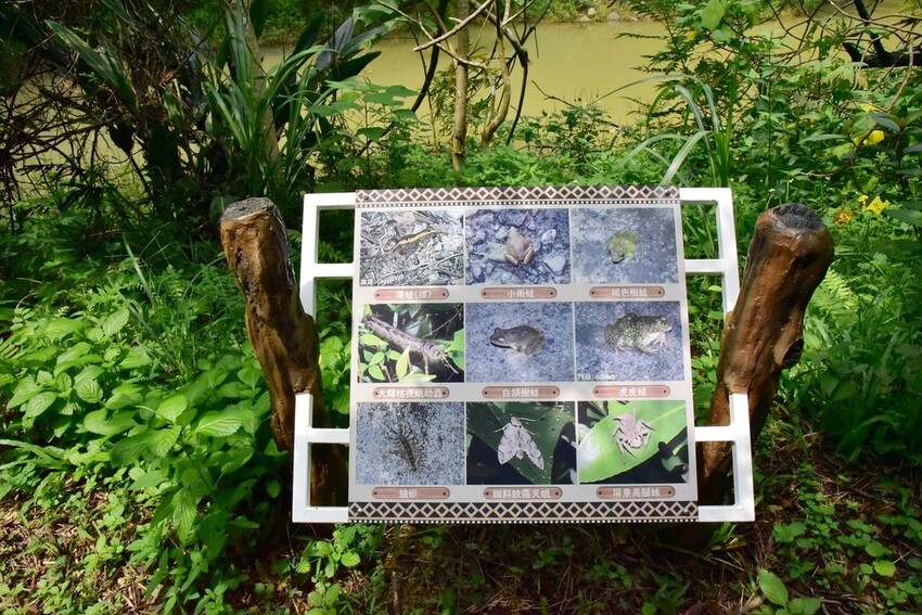 屏東牡丹鄉｜高士社區發展協會 高士部落 野牡丹神社紀念公園導