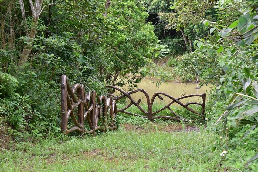 屏東牡丹鄉｜高士社區發展協會 高士部落 野牡丹神社紀念公園導