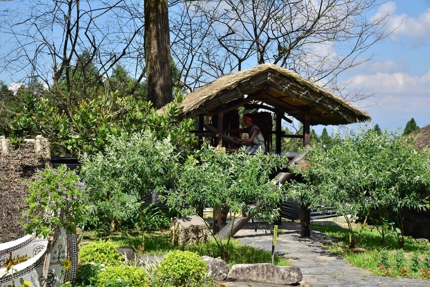 南投魚池鄉|九族文化村 部落花季-秋之盛典 部落花園巡禮 秋