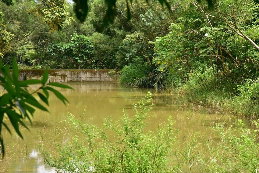 屏東牡丹鄉｜高士社區發展協會 高士部落 野牡丹神社紀念公園導