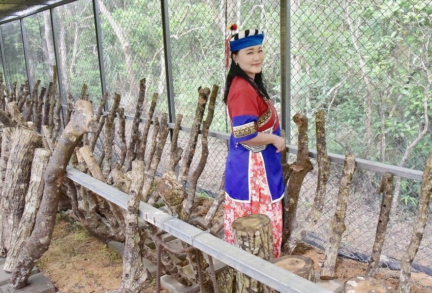 屏東牡丹鄉｜高士社區發展協會 高士部落 野牡丹神社紀念公園導