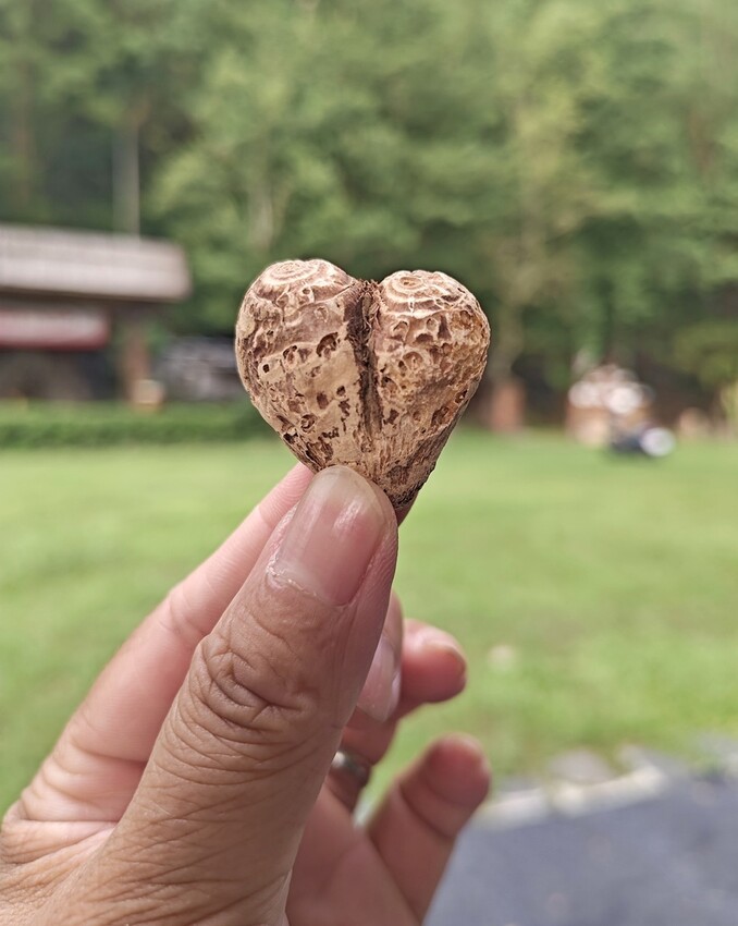 屏東來義鄉｜走讀二峰圳導覽 喜樂發發吾公園 手作體驗-排灣族