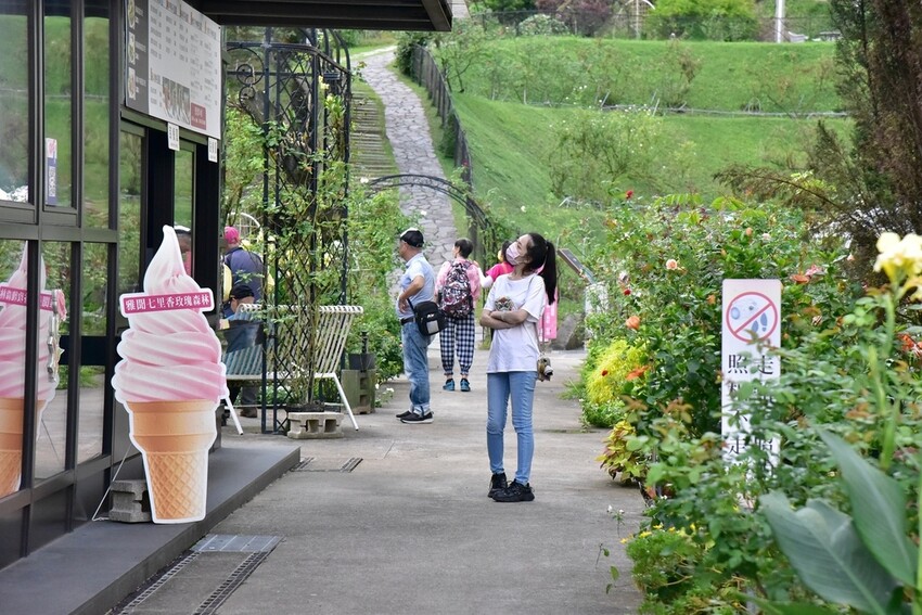 苗栗頭屋鄉|雅聞七里香玫瑰森林 依山型建造為主題的玫瑰花園 雅聞觀光工廠玫瑰季 全台五館免門票免費開放入園|西莉亞玩樂人生 苗栗頭屋鄉|雅聞七里香玫瑰森林 唯一 雅聞觀光工廠