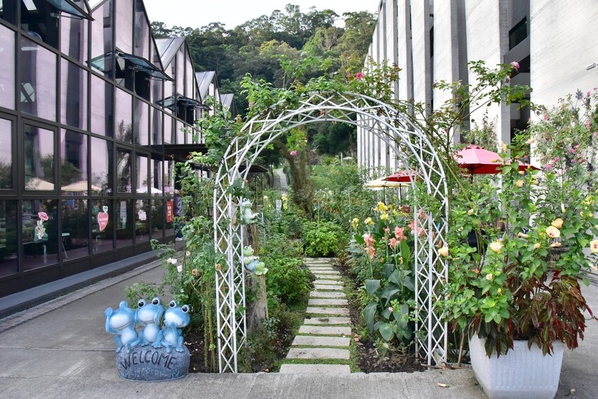 苗栗頭屋鄉|雅聞七里香玫瑰森林 依山型建造為主題的玫瑰花園 雅聞觀光工廠玫瑰季 全台五館免門票免費開放入園|西莉亞玩樂人生 苗栗頭屋鄉|雅聞七里香玫瑰森林 唯一 雅聞觀光工廠