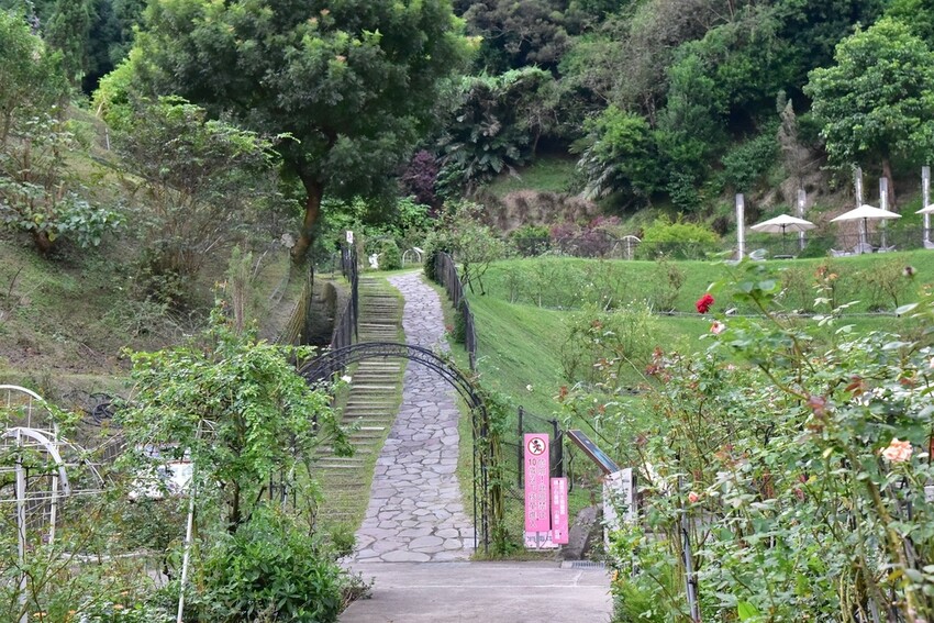 苗栗頭屋鄉|雅聞七里香玫瑰森林 依山型建造為主題的玫瑰花園 雅聞觀光工廠玫瑰季 全台五館免門票免費開放入園|西莉亞玩樂人生 苗栗頭屋鄉|雅聞七里香玫瑰森林 唯一 雅聞觀光工廠
