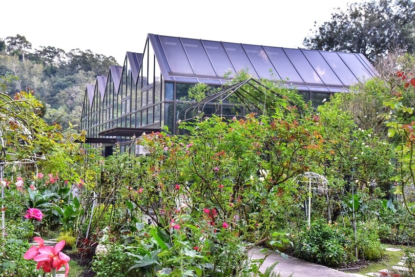 苗栗頭屋鄉|雅聞七里香玫瑰森林 依山型建造為主題的玫瑰花園 雅聞觀光工廠玫瑰季 全台五館免門票免費開放入園|西莉亞玩樂人生 苗栗頭屋鄉|雅聞七里香玫瑰森林 唯一 雅聞觀光工廠