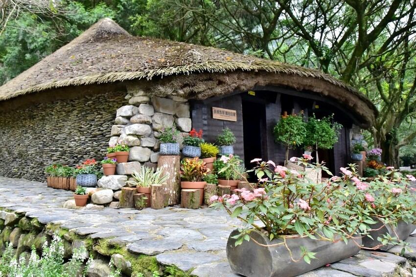 南投魚池鄉|九族文化村 部落花季-秋之盛典 部落花園巡禮 秋