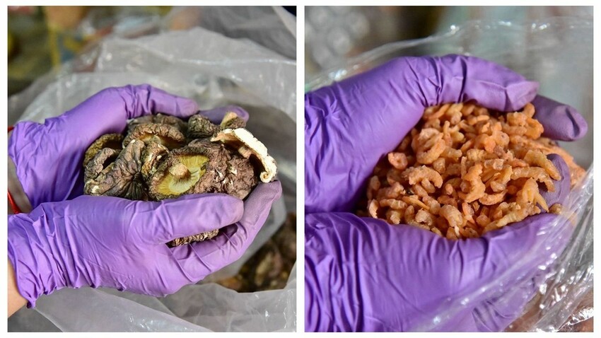 苗栗公館鄉｜當慶，Hakka好味緒 廚藝體驗