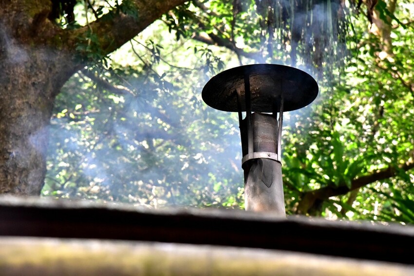 南投魚池鄉|九族文化村 部落花季-秋之盛典 部落花園巡禮 秋