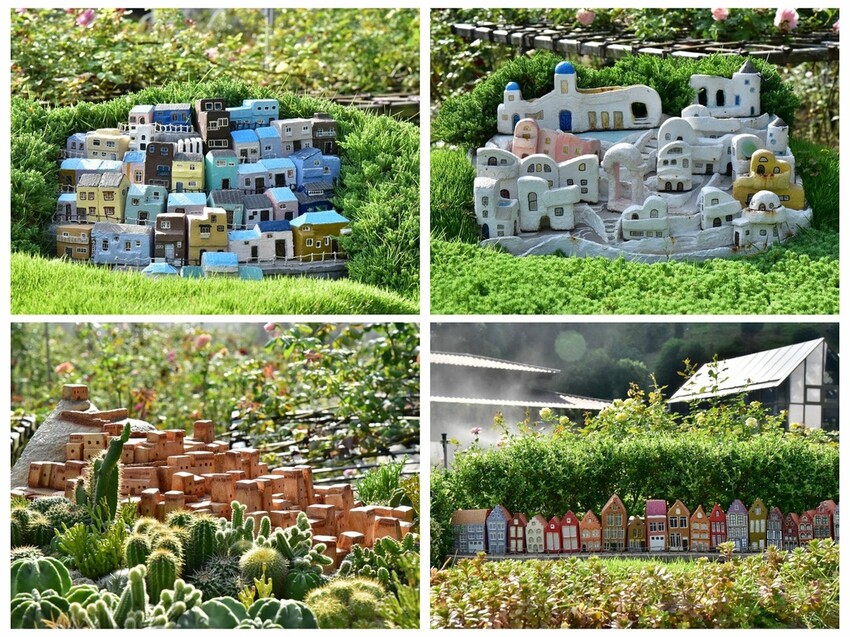 苗栗頭屋鄉|雅聞七里香玫瑰森林 依山型建造為主題的玫瑰花園 雅聞觀光工廠玫瑰季 全台五館免門票免費開放入園|西莉亞玩樂人生 苗栗頭屋鄉|雅聞七里香玫瑰森林 唯一 雅聞觀光工廠