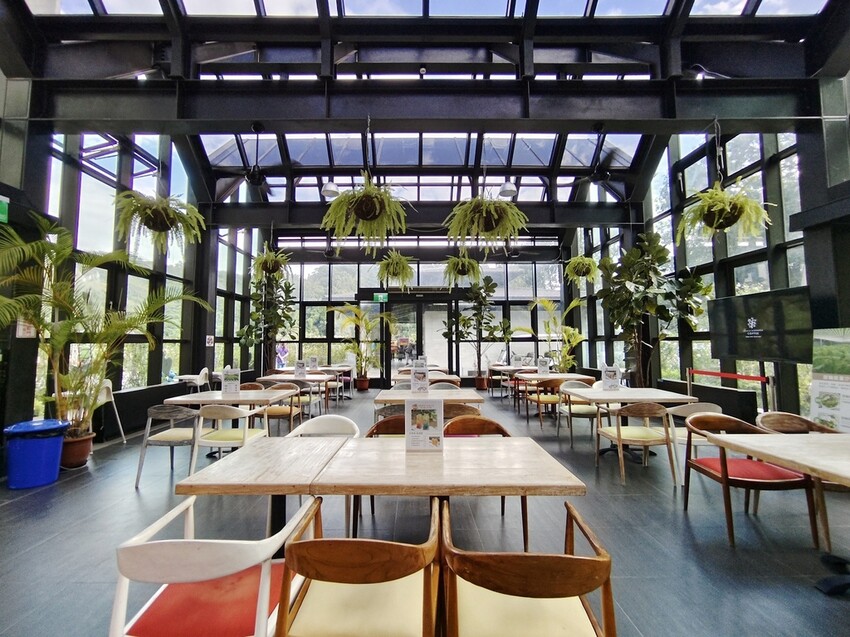 苗栗頭屋鄉|雅聞七里香玫瑰森林 依山型建造為主題的玫瑰花園 雅聞觀光工廠玫瑰季 全台五館免門票免費開放入園|西莉亞玩樂人生 苗栗頭屋鄉|雅聞七里香玫瑰森林 唯一 雅聞觀光工廠